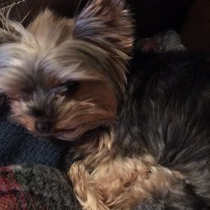 Meet your Posher, Jennifer